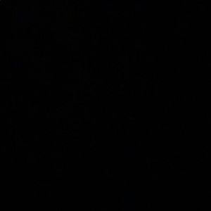 Meet your Posher, Timily